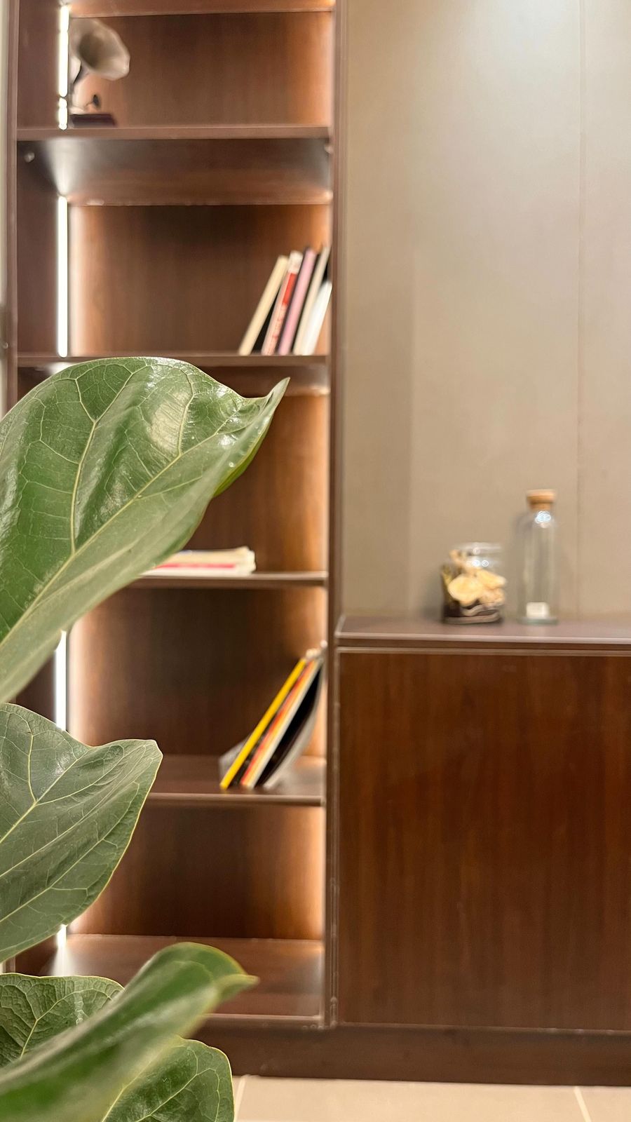 Custom display and shelving joinery in a Hyderabad commercial fit-out